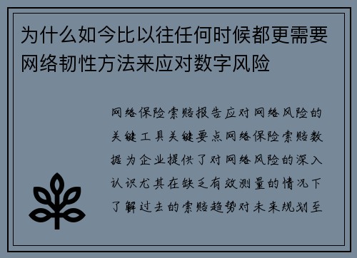 为什么如今比以往任何时候都更需要网络韧性方法来应对数字风险 