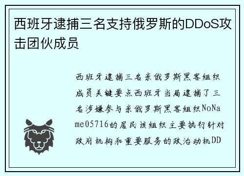 西班牙逮捕三名支持俄罗斯的DDoS攻击团伙成员 