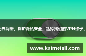 让您畅享无界网络，保护隐私安全，选择我们的VPN梯子，尽情冲浪！